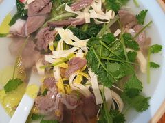 牛肉粉丝汤-小姜锅贴(凤凰街店)