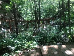 -大岭沟猕猴桃谷风景区