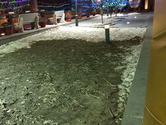 -哈尔滨中央大街华特酒店