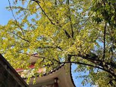 -岳麓山风景名胜区