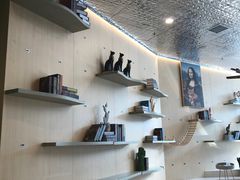 -飞行喵MR PILOT|猫舍·猫咖(静安大融城店)