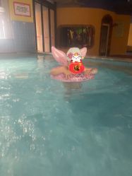 点击看大图 -宝燕乐园(闵行旗舰店)