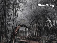 -会稽山峡洞漂流-上青古道