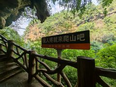 -马岭河峡谷风景区