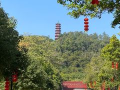 -南沙天后宫景区
