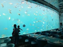 -瑞德姆美人鱼海底演艺主题餐厅(亚龙湾店)