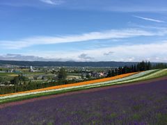 -富田农场
