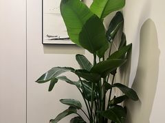 -谧境·爱SPA(春熙路店)