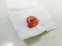 -纳吉亚猫专科动物诊疗中心(蒋宅口分院)