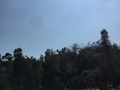-厦门悦华酒店