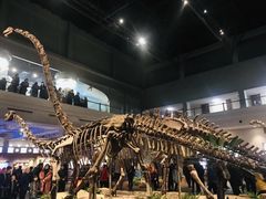 -自贡恐龙博物馆