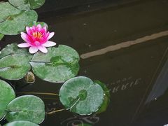 -泉乐坊步行街(烟酒特产平价超市店)