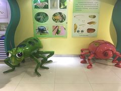 -上海昆虫博物馆
