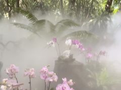 -呀诺达热带雨林