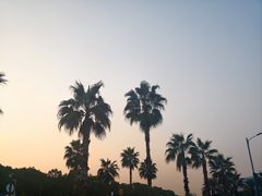 -东钱湖旅游度假区