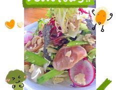 -Hatsune隐泉日式料理(三里屯太古里店)