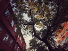 -宋师傅安徽板面(留学路店)