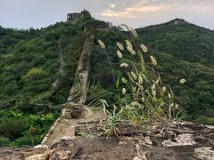 -蟠龙山长城景区