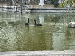 -舜耕山庄四时万和自助餐厅