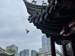 -豫园湖心亭茶楼
