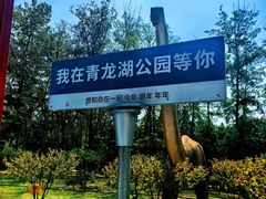 -青龙湖公园