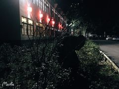 -羊楼洞