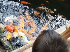 -上海大自然野生昆虫馆(东方明珠·爬宠昆虫探索中心)