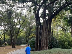 -晓港公园