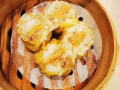 -金苑海鲜酒家(来魅力店)