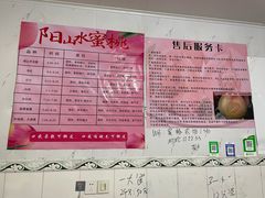 -老袁家蜜桃农场·阳山水蜜桃