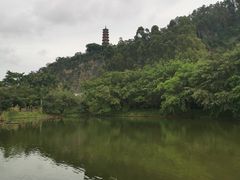 -南沙蒲洲花园