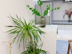 -成都院坝精品私汤民宿酒店