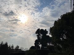 -尚贤河湿地