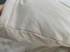 -福奈特洗衣洗鞋(东方路店)
