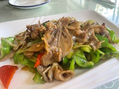 -山东单县风味羊肉汤馆(望园路店)