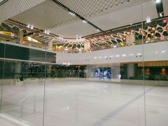 -TheRink大零溜冰场(IFS国金中心店)