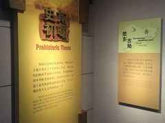 -烟台市博物馆