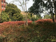 -杭州第一世界大酒店·云曼温泉