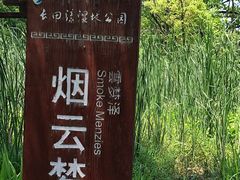-长田漾湿地公园
