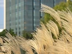 -同济大学(嘉定校区)