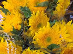 -循礼门鲜花花市(武汉循礼门店)