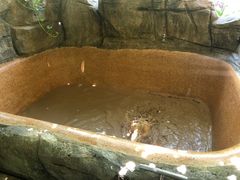 -加林娜泥浴水疗