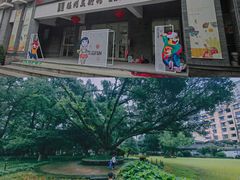 -墨池公园