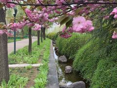 -洛阳市隋唐城遗址植物园
