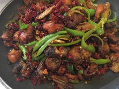 椒麻滋味鸡-毛家饭店·30年融合新湘菜(无影山店)