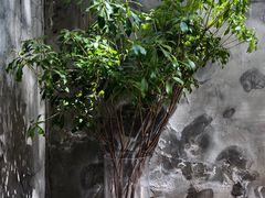 -VOYAGE COFFEE(北锣鼓巷店)