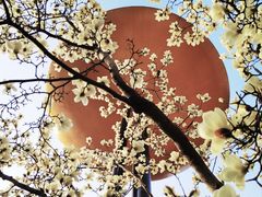 -陆家嘴中心绿地