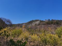 -千年银杏谷文化旅游区