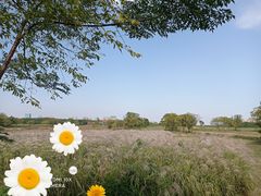 -盘龙城国家考古遗址公园