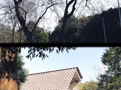 -知美术馆